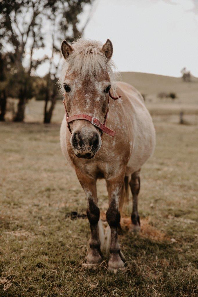 Airbnb near me in Country Victoria